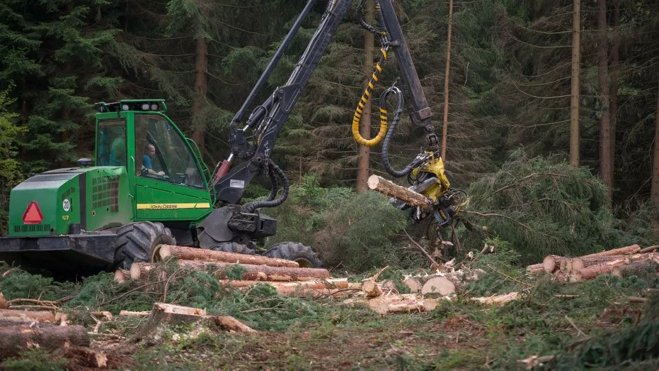 Lesní harvestor strom porazí a naporcuje během oka