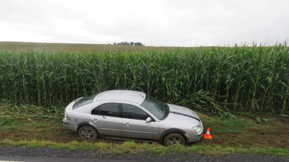 Mondeo v poli