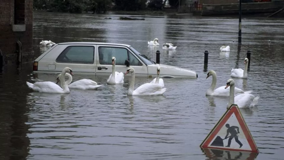 zatopené auto