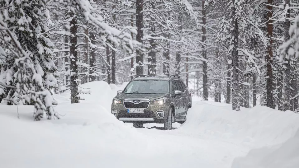 Subaru Forester e-Boxer 2020 Laponsko