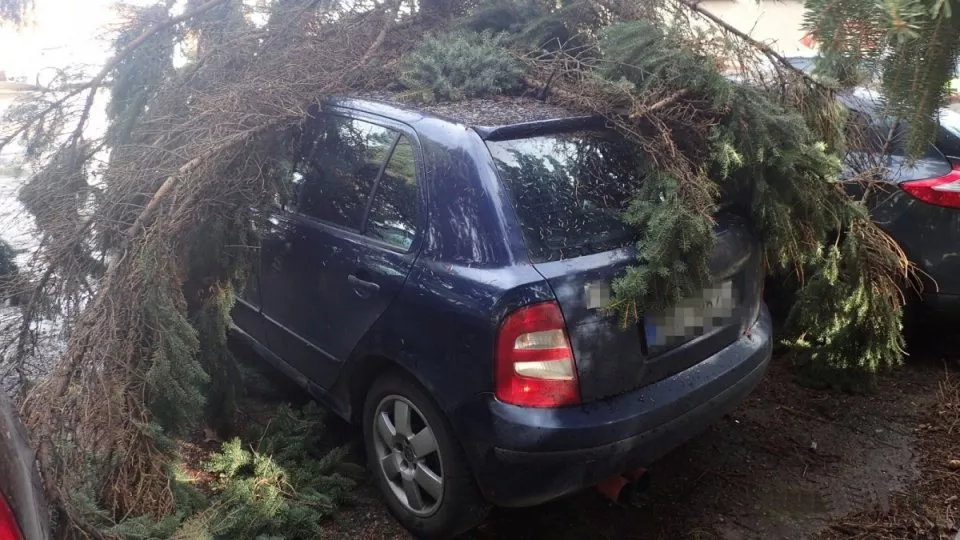 Spadlý strom na auto