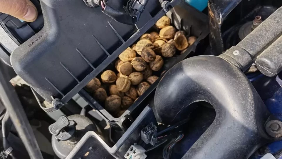 Mazda MX5 při údržbě