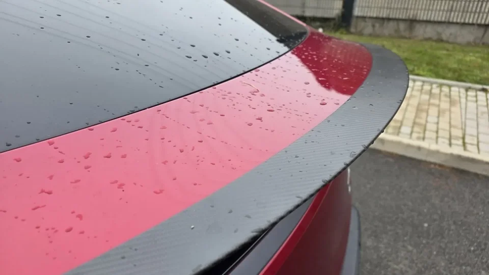 Tesla Model Y Performance
