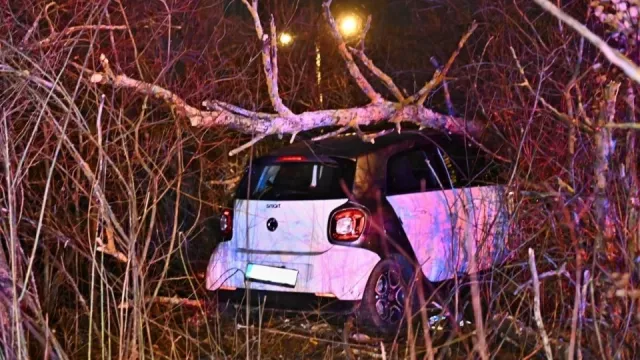 Školák ukradl rodičům smart a ujížděl policii. Skončil ve stromě, který na něj potom spadl