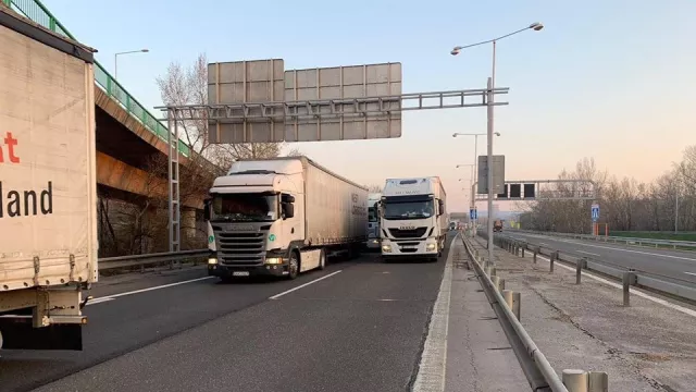 Živá zvířata naložená v kamionech trpí v dlouhých kolonách. Pomáhají jim policisté