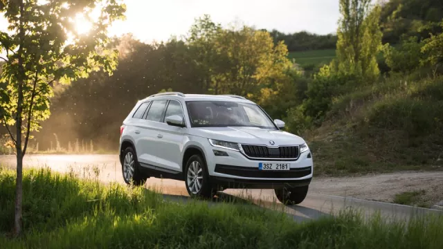 Medvěd. Škoda Kodiaq 1.4 TSI