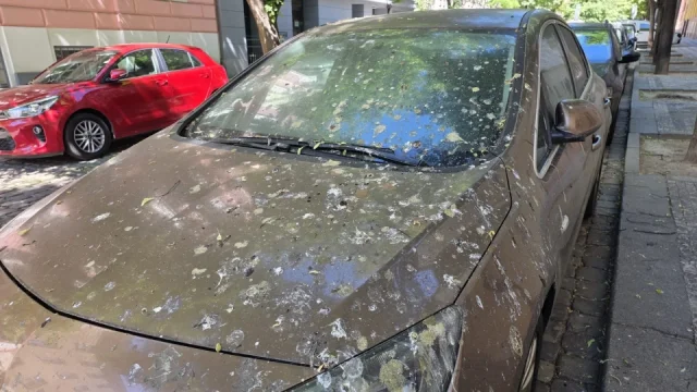 Horké letní počasí vám může rychle zničit karoserii. Stačí kombinace slunce a holubů