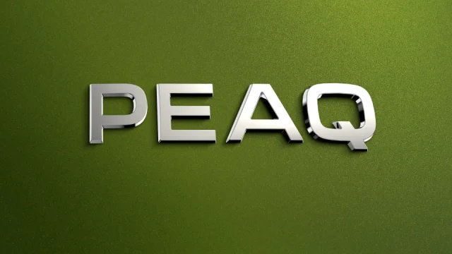 Škoda Peaq: Mladá Boleslav odhalila jméno svého největšího modelu do zásuvky