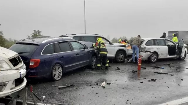 Nejen škody na autě. Viník nehody musí zaplatit třeba i zraněné zvíře nebo zrušenou dovolenou