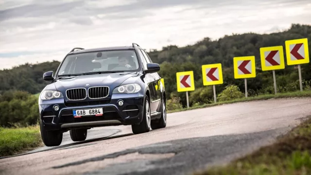 Medvěd grizzly. Ojeté BMW X5 xDrive30d