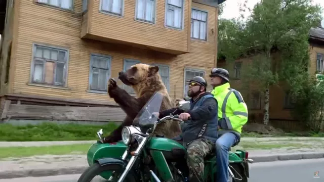 Medvěd jel za plného provozu na motorce. Zemi jistě uhodnete...