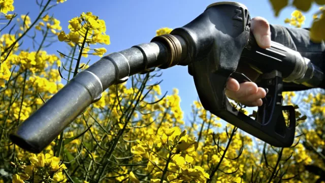 Bionafta je zdraví škodlivá víc než klasická nafta
