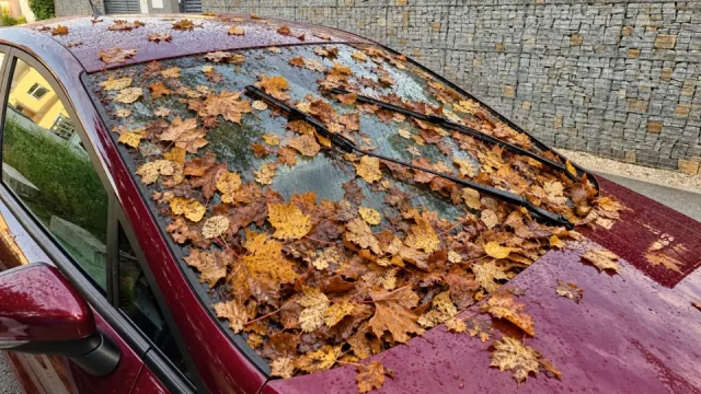 Listí může na autě napáchat víc škody, než se zdá. Ohrožuje i drahou elektroniku