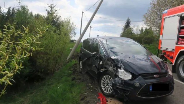 Řidička se snažila z auta vyhnat včelu, místo toho však přerazila sloup elektrického vedení