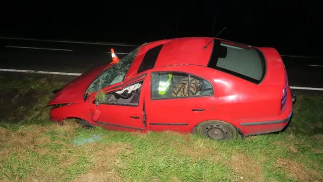 Důchodce za volantem bojoval s mouchou. Vyhrála, auto skončilo ve škarpě a muž v nemocnici