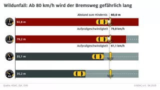 ADAC cresh test se zvěří