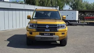 Denza Bao 5