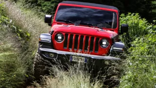 Jeep Wrangler dynamické 6