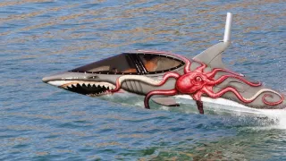 Člun, skútr, delfín? - Obrázek 4