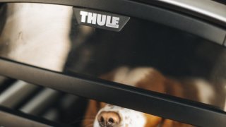 Thule Allax