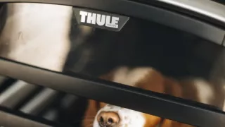 Thule Allax