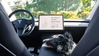Za pokuty a nehody nově není zodpovědný řidič, ale automobilka. Vůz však musí jet na autopilota