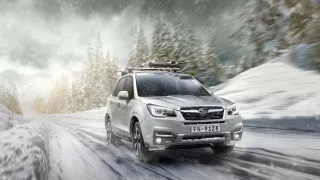 Subaru Forester IV (SJ)