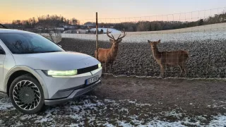 Domek s nejkrásnější vánoční výzdobou.