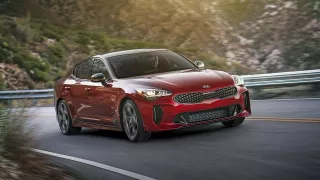 Kia Stinger je žihadlo - Obrázek 11