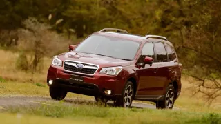 Subaru Forester IV (SJ)