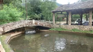 Na farmě chovali svoje vlastní pstruhy