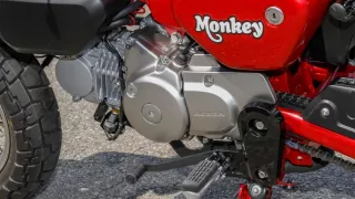 Honda Monkey