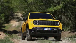 Jeep Renegade Trailhawk 2019