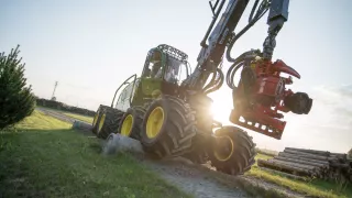 Strom dokáže harvestor naporcovat doslova za pár s