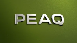 Škoda Peaq: Mladá Boleslav odhalila jméno svého největšího modelu do zásuvky