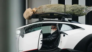 Přeprava vánočního stromku je věda: Může vážit až 750 kg a směr špičky vám ovlivní spotřebu