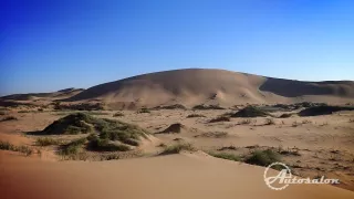 Namib Desert