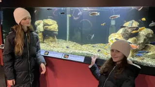 Fotr na tripu
