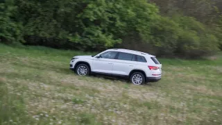 Škoda Kodiaq je centrem pozornosti 10