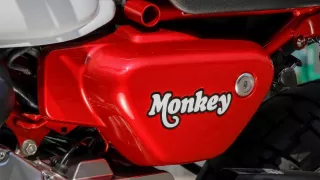 Honda Monkey