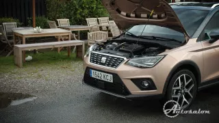 Seat Arona 3