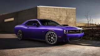 Dodge Plum Crazy