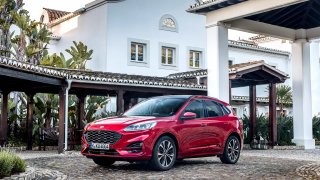 Ford Kuga 2.0 EcoBlue mild-hybrid ST Line X