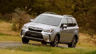 Subaru Forester IV (SJ)