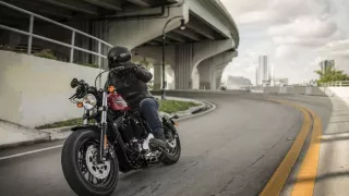 Harley-Davidson Forty-Eight Iron