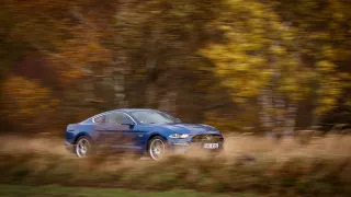 Ford Mustang jízdní 7