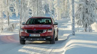 Škoda Octavia Combi Scout III