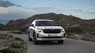 Škoda prodala třetinu všech nových aut