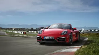 Porsche Boxster GTS 6