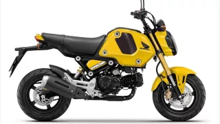 Honda MSX125 Grom